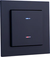 Single rocker black with state indicator, Ref. 5521